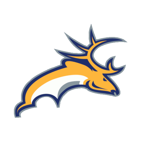 Tilburg Trappers